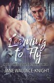 Learning to Fly: Fliegen lernen (eBook, ePUB)