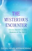 The Mysterious Encounter (eBook, ePUB)