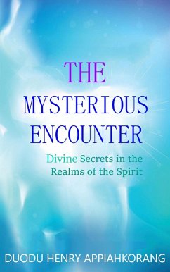 Cover The Mysterious Encounter (eBook, ePUB)
