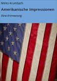 Amerikanische Impressionen (eBook, ePUB)