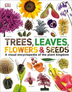Our World in Pictures: Trees, Leaves, Flowers & Seeds - DK