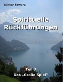 Spirituelle Rückführungen (eBook, ePUB)