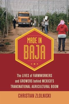 Made in Baja (eBook, ePUB) - Zlolniski, Christian