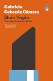 Slum Virgin (eBook, ePUB)