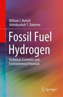 Fossil Fuel Hydrogen - Nuttall, William J.;Bakenne, Adetokunboh T.