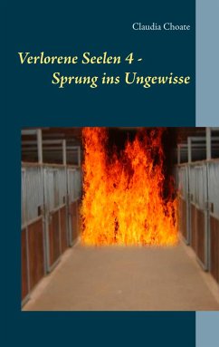 Verlorene Seelen 4 - Sprung ins Ungewisse - Choate, Claudia