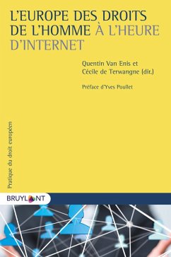 Cover L'Europe des droits de l'homme à l'heure d'Internet (eBook, ePUB)