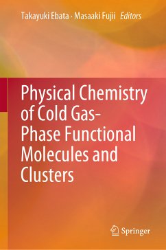Physical Chemistry of Cold Gas-Phase Functional Molecules and Clusters (eBook, PDF)