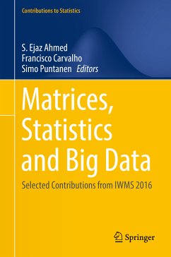 Matrices, Statistics and Big Data (eBook, PDF)