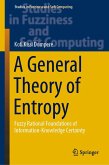 A General Theory of Entropy (eBook, PDF)