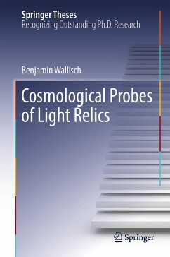 Cosmological Probes of Light Relics - Wallisch, Benjamin