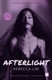 Afterlight (eBook, ePUB)