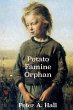 Potato Famine Orphan - Bild 1