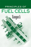 Principles of Fuel Cells (eBook, ePUB)