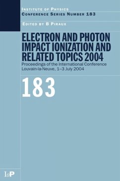 Electron and Photon Impact Ionization and Related Topics 2004 (eBook, PDF) - Piraux, B.