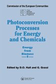 Photoconversion Processes for Energy and Chemicals (eBook, PDF)