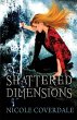 Shattered Dimensions - Bild 1