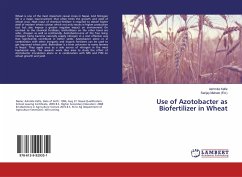 Use of Azotobacter as Biofertilizer in Wheat