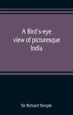 A bird's-eye view of picturesque India