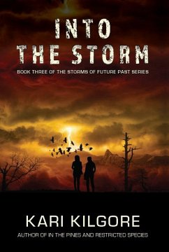 Into the Storm - Kilgore, Kari