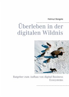 Überleben in der digitalen Wildnis (eBook, ePUB)
