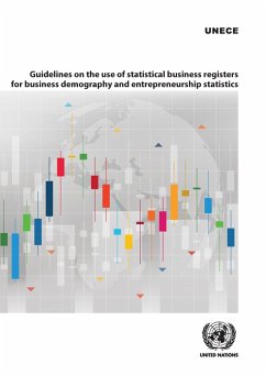 Cover Guidelines on the Use of Statistical Business Registers for Business Demography and Entrepreneurship Statistics (eBook, PDF)
