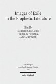 Images of Exile in the Prophetic Literature (eBook, PDF)