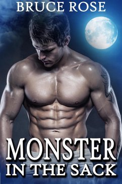 Monster In The Sack (A Fairview Story, #3) (eBook, ePUB) - Rose, Bruce