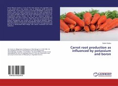 Carrot root production as influenced by potassium and boron