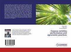 Cassava varieties performance and agronomic practices