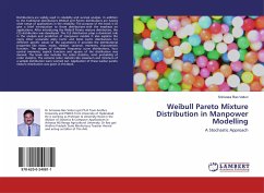 Weibull Pareto Mixture Distribution in Manpower Modelling