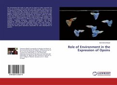 Role of Environment in the Expression of Opsins