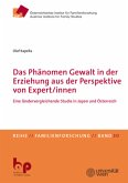 Das Phänomen Gewalt in der Erziehung aus der Perspektive von Expert/innen