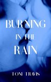 Burning in the Rain (eBook, ePUB)