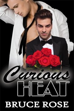 Cover Curious Heat (A Fairview Story, #1) (eBook, ePUB)