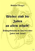 Wieder sind die Juden an allem schuld! (eBook, ePUB)