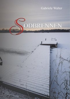 Sodbrennen (eBook, ePUB) - Walter, Gabriele