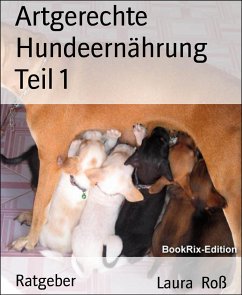 Artgerechte Hundeernährung Teil 1 (eBook, ePUB) - Roß, Laura