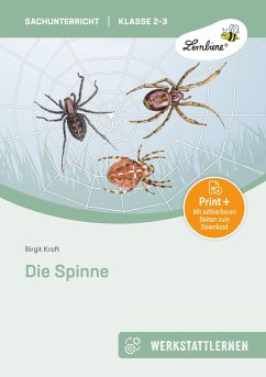 Die Spinne - Kraft, Birgit