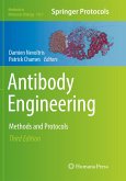 Antibody Engineering