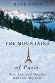 The Mountains of Paris: How Awe and Wonder Rewrote My Life