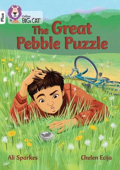 The Great Pebble Puzzle - Sparkes, Ali