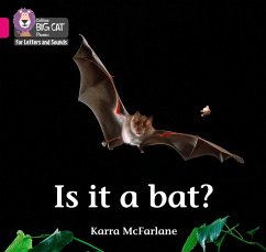 Is it a Bat? - McFarlane, Karra