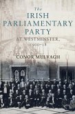 The Irish Parliamentary Party at Westminster, 1900-18 (eBook, ePUB)