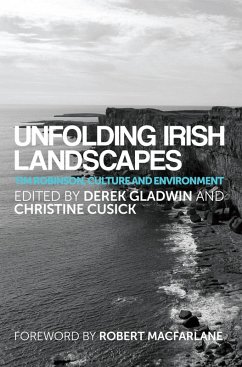 Unfolding Irish landscapes (eBook, ePUB)