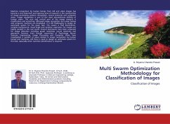 Multi Swarm Optimization Methodology for Classification of Images