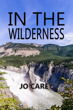 In the Wilderness (Mysterious Journeys, #3) (eBook, ePUB) - Carey, Jo