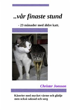 ...vår finaste stund (eBook, ePUB)