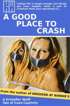 Cover A Good Place To Crash (eBook, ePUB)