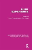 Pupil Experience (eBook, PDF)